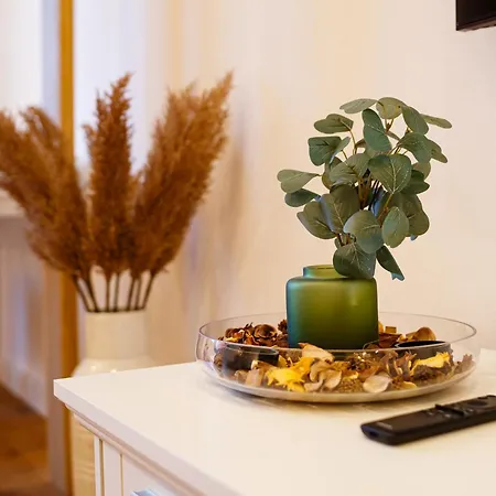 The Chic One, Unirii Square View * Timişoara