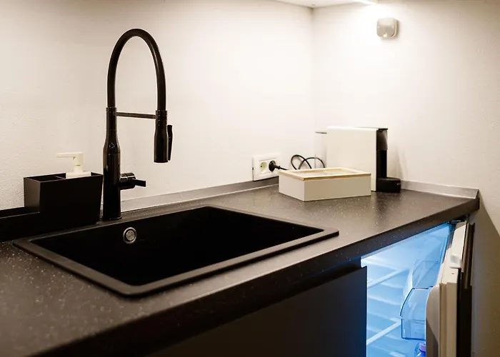 Apartament The Chic One, Unirii Square View *