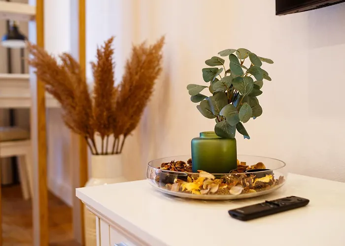 The Chic One, Unirii Square View * Timisoara